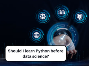 Read more about the article Should I learn Python before data science?